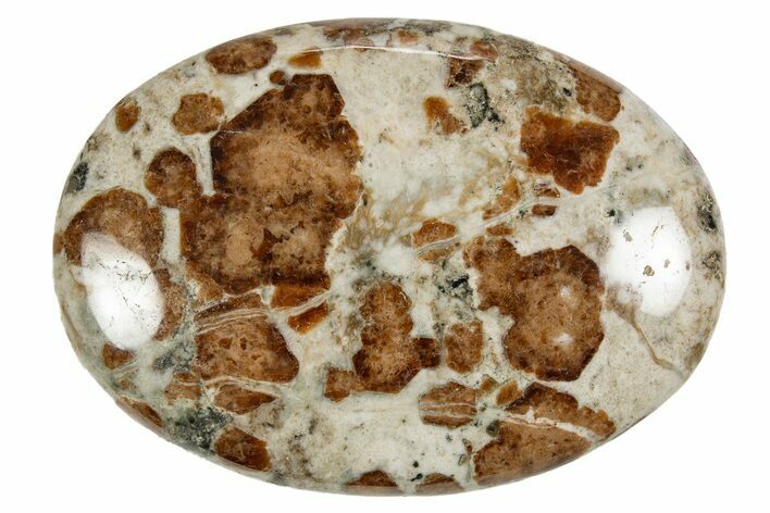 Polished Garnet In Wollastonite Palm Stone - Namibia #343950